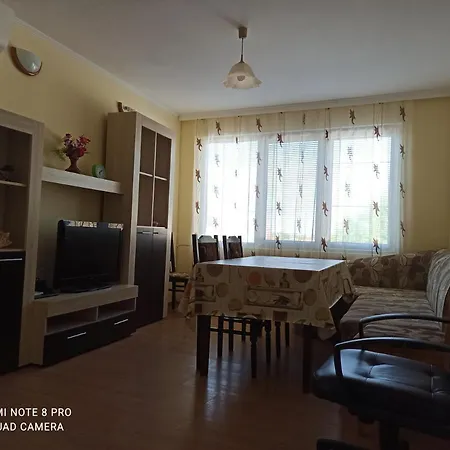 феникс Шабла