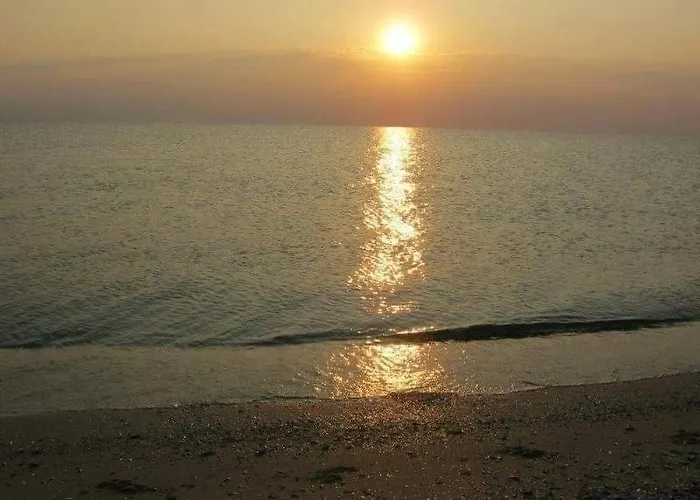 феникс * Шабла