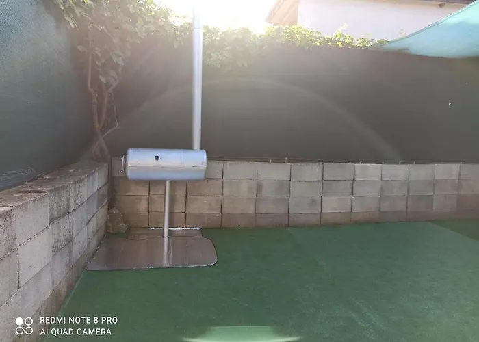 феникс * Шабла